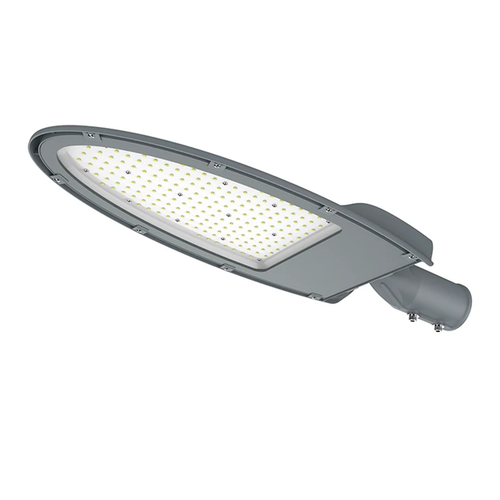 100 Watt Street Light